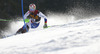 Luca Aerni of Switzerland skiing in first run of men slalom race of Audi FIS Alpine skiing World cup in Kranjska Gora, Slovenia. Men slalom race of Audi FIS Alpine skiing World cup season 2014-2015, was held on Sunday, 15th of March 2015 in Kranjska Gora, Slovenia.
