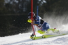 Dave Ryding of Great Britain skiing in first run of men slalom race of Audi FIS Alpine skiing World cup in Kranjska Gora, Slovenia. Men slalom race of Audi FIS Alpine skiing World cup season 2014-2015, was held on Sunday, 15th of March 2015 in Kranjska Gora, Slovenia.
