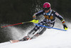 Jens Henttinen of Finland skiing in first run of men slalom race of Audi FIS Alpine skiing World cup in Kranjska Gora, Slovenia. Men slalom race of Audi FIS Alpine skiing World cup season 2014-2015, was held on Sunday, 15th of March 2015 in Kranjska Gora, Slovenia.
