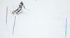 Daniel Yule of Switzerland skiing in the second run of men slalom race of Audi FIS Alpine skiing World cup in Kranjska Gora, Slovenia. Men slalom race of Audi FIS Alpine skiing World cup season 2014-2015, was held on Sunday, 15th of March 2015 in Kranjska Gora, Slovenia.
