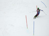 Fifth placed Alexander Khoroshilov of Russia skiing in the second run of men slalom race of Audi FIS Alpine skiing World cup in Kranjska Gora, Slovenia. Men slalom race of Audi FIS Alpine skiing World cup season 2014-2015, was held on Sunday, 15th of March 2015 in Kranjska Gora, Slovenia.
