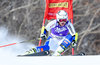 Sara Hector of Sweden during the first run of ladies Giant Slalom of Aspen FIS Ski Alpine World Cup in Aspen, United States on 2015/11/27.
