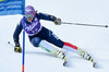 Elena Curtoni of Italy during her first run of ladies Giant Slalom of Aspen FIS Ski Alpine World Cup at the Mountain Course in Aspen, United States on 2015/11/27.
