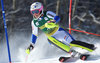 Hansdotter Frida of Sweden during her first run of ladies Slalom of Aspen FIS Ski Alpine World Cup at the Mountain Course in Aspen, United States on 2015/11/28.
