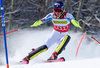 Shiffrin Mikaela of the USA during her first run of ladies Slalom of Aspen FIS Ski Alpine World Cup at the Mountain Course in Aspen, United States on 2015/11/28.
