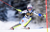 Hansdotter Frida of Sweden during her first run of ladies Slalom of Aspen FIS Ski Alpine World Cup at the Mountain Course in Aspen, United States on 2015/11/29.
