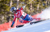Travis Ganong of the USA in action during the 1st Practice run of mens downhill of the Beaver Creek FIS Ski Alpine World Cup at the Birds of Prey Course in Beaver Creek, United States on 2015/12/03.
