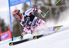 Roland Leitinger of Austria during the first run of mens Giant Slalom of the Beaver Creek FIS Ski Alpine World Cup at the Birds of Prey Course in Beaver Creek, United States on 2015/12/06.

