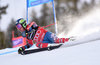 Ted Ligety of the USA during the first run of mens Giant Slalom of the Beaver Creek FIS Ski Alpine World Cup at the Birds of Prey Course in Beaver Creek, United States on 2015/12/06.
