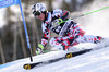 Hannes Reichelt of Austria during the first run of mens Giant Slalom of the Beaver Creek FIS Ski Alpine World Cup at the Birds of Prey Course in Beaver Creek, United States on 2015/12/06.
