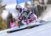 Hannes Reichelt of Austria during the first run of mens Giant Slalom of the Beaver Creek FIS Ski Alpine World Cup at the Birds of Prey Course in Beaver Creek, United States on 2015/12/06.

