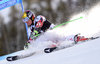 Marcel Hirscher of Austria during the first run of mens Giant Slalom of the Beaver Creek FIS Ski Alpine World Cup at the Birds of Prey Course in Beaver Creek, United States on 2015/12/06.
