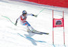 Fernando Schmed of Switzerland in action during the men Super G of Groeden FIS Ski Alpine World Cup at the Saslong Course in Gardena, Italy on 2015/12/17.

