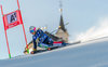 Nadia Fanchini of Italy during 1st run of ladies Giant Slalom of the Lienz FIS Ski Alpine World Cup at the Hochstein in Lienz, Austria on 2015/12/28.
