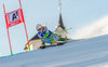 Ana Drev of Slovenia during 1st run of ladies Giant Slalom of the Lienz FIS Ski Alpine World Cup at the Hochstein in Lienz, Austria on 2015/12/28.
