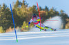 Frida Hansdotter of Sweden during 1st run of ladies Slalom of the Lienz FIS Ski Alpine World Cup at the Hochstein in Lienz, Austria on 2015/12/29.
