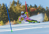 Nastasia Noens of France during 1st run of ladies Slalom of the Lienz FIS Ski Alpine World Cup at the Hochstein in Lienz, Austria on 2015/12/29.
