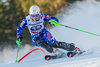 Petra Vlhova of Slovakia during 1st run of ladies Slalom of the Lienz FIS Ski Alpine World Cup at the Hochstein in Lienz, Austria on 2015/12/29.
