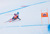 Christof Innerhofer of Italy in action during the men Downhill of the Santa Caterina FIS Ski Alpine World Cup at the Deborah Compagnoni Course in Santa Caterina, Italy on 2015/12/29.

