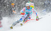 Victor Muffat-Jeandet of France during 1st Run of Mens Slalom for the FIS Ski Alpine World Cup at huenisbergli in Adelboden, Switzerland on 2016/01/10.
