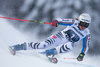 Viktoria Rebensburg of Germany competes in the 1st run of women Giant Slalom for the FIS Ski Alpine World Cup at the Hermann Maier Weltcupstrecke in Flachau, Austria on 2016/01/17.
