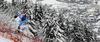 Andreas Sander of Germany skiing in second training for the men downhill race of Audi FIS Alpine skiing World cup in Kitzbuehel, Austria. Second training for men downhill race of Audi FIS Alpine skiing World cup was held on Hahnenkamm course in Kitzbuehel, Austria, on Thursday, 21st of January 2016.
