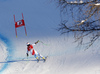 Fernando Schmed of Switzerland skiing in men super-g race of Audi FIS Alpine skiing World cup in Kitzbuehel, Austria. Men super-g race of Audi FIS Alpine skiing World cup was held on Hahnenkamm course in Kitzbuehel, Austria, on Friday, 22nd of January 2016.
