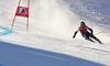 Andreas Romar of Finland skiing in men super-g race of Audi FIS Alpine skiing World cup in Kitzbuehel, Austria. Men super-g race of Audi FIS Alpine skiing World cup was held on Hahnenkamm course in Kitzbuehel, Austria, on Friday, 22nd of January 2016.
