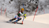 Nils Mani of Switzerland skiing in slalom of men super combined race of Audi FIS Alpine skiing World cup in Kitzbuehel, Austria. Men super-g race of Audi FIS Alpine skiing World cup was held on Hahnenkamm course in Kitzbuehel, Austria, on Friday, 22nd of January 2016.
