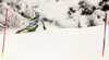 Felix Neureuther of Germany skiing in first run of the men slalom race of Audi FIS Alpine skiing World cup in Kitzbuehel, Austria. Men downhill race of Audi FIS Alpine skiing World cup was held in Kitzbuehel, Austria, on Sunday, 24th of January 2016.
