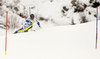 Andre Myhrer of Sweden skiing in first run of the men slalom race of Audi FIS Alpine skiing World cup in Kitzbuehel, Austria. Men downhill race of Audi FIS Alpine skiing World cup was held in Kitzbuehel, Austria, on Sunday, 24th of January 2016.
