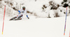 Axel Baeck of Sweden skiing in first run of the men slalom race of Audi FIS Alpine skiing World cup in Kitzbuehel, Austria. Men downhill race of Audi FIS Alpine skiing World cup was held in Kitzbuehel, Austria, on Sunday, 24th of January 2016.
