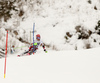 Marco Schwarz of Austria skiing in first run of the men slalom race of Audi FIS Alpine skiing World cup in Kitzbuehel, Austria. Men downhill race of Audi FIS Alpine skiing World cup was held in Kitzbuehel, Austria, on Sunday, 24th of January 2016.
