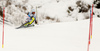 Dominik Stehle of Germany skiing in first run of the men slalom race of Audi FIS Alpine skiing World cup in Kitzbuehel, Austria. Men downhill race of Audi FIS Alpine skiing World cup was held in Kitzbuehel, Austria, on Sunday, 24th of January 2016.
