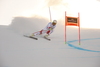 Third placed Beat Feuz of Switzerland skiing in the men downhill race of Audi FIS Alpine skiing World cup in Garmisch-Partenkirchen, Germany. Men downhill race of Audi FIS Alpine skiing World cup, was held on Kandahar course in Garmisch-Partenkirchen, Germany, on Saturday, 30th of January 2016.
