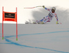 Fifth placed Adrien Theaux of France skiing in the men downhill race of Audi FIS Alpine skiing World cup in Garmisch-Partenkirchen, Germany. Men downhill race of Audi FIS Alpine skiing World cup, was held on Kandahar course in Garmisch-Partenkirchen, Germany, on Saturday, 30th of January 2016.
