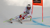 Marc Gisin of Switzerland skiing in the men downhill race of Audi FIS Alpine skiing World cup in Garmisch-Partenkirchen, Germany. Men downhill race of Audi FIS Alpine skiing World cup, was held on Kandahar course in Garmisch-Partenkirchen, Germany, on Saturday, 30th of January 2016.
