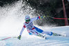 Corinne Suter of Switzerland competes during the ladies Downhill of Garmisch FIS Ski Alpine World Cup at the Kandahar course in Garmisch Partenkirchen, Germany on 2016/02/06.
