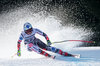 Tina Weirather of Liechtenstein competes during the ladies Downhill of Garmisch FIS Ski Alpine World Cup at the Kandahar course in Garmisch Partenkirchen, Germany on 2016/02/06.
