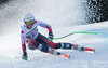 Larisa Yurkiw of Canada competes during the ladies Downhill of Garmisch FIS Ski Alpine World Cup at the Kandahar course in Garmisch Partenkirchen, Germany on 2016/02/06.
