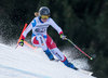 Fabienne Suter of Switzerland competes during the ladies Downhill of Garmisch FIS Ski Alpine World Cup at the Kandahar course in Garmisch Partenkirchen, Germany on 2016/02/06.
