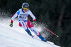 2nd placed Fabienne Suter of Switzerland competes during the ladies Downhill of Garmisch FIS Ski Alpine World Cup at the Kandahar course in Garmisch Partenkirchen, Germany on 2016/02/06.
