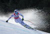 Winner Lindsey Vonn of the USA competes during the ladies Downhill of Garmisch FIS Ski Alpine World Cup at the Kandahar course in Garmisch Partenkirchen, Germany on 2016/02/06.
