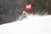  skiing in the first run of the men giant slalom race of Audi FIS Alpine skiing World cup in Hinterstoder, Austria. Men giant slalom race of Audi FIS Alpine skiing World cup, was held on Hinterstoder, Austria, on Friday, 26th of February 2016.
