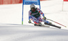 Sixth placed Adrien Theaux of France skiing in the men super-g race of Audi FIS Alpine skiing World cup in Hinterstoder, Austria. Men super-g race of Audi FIS Alpine skiing World cup, was held on Hinterstoder, Austria, on Saturday, 27th of February 2016.
