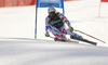 Sixth placed Adrien Theaux of France skiing in the men super-g race of Audi FIS Alpine skiing World cup in Hinterstoder, Austria. Men super-g race of Audi FIS Alpine skiing World cup, was held on Hinterstoder, Austria, on Saturday, 27th of February 2016.
