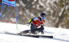 Eemeli Pirinen of Finland skiing in the first run of the men giant slalom race of Audi FIS Alpine skiing World cup in Kranjska Gora, Slovenia. Men giant slalom race of Audi FIS Alpine skiing World cup, was held in Kranjska Gora, Slovenia, on Friday, 4th of March 2016.
