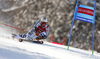 Stefan Luitz of Germany skiing in the first run of the men giant slalom race of Audi FIS Alpine skiing World cup in Kranjska Gora, Slovenia. Men giant slalom race of Audi FIS Alpine skiing World cup, was held in Kranjska Gora, Slovenia, on Friday, 4th of March 2016.
