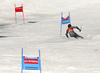 Samu Torsti of Finland skiing in the first run of the men giant slalom race of Audi FIS Alpine skiing World cup in Kranjska Gora, Slovenia. Men giant slalom race of Audi FIS Alpine skiing World cup, was held in Kranjska Gora, Slovenia, on Friday, 4th of March 2016.
