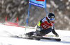 Eemeli Pirinen of Finland skiing in the first run of the men giant slalom race of Audi FIS Alpine skiing World cup in Kranjska Gora, Slovenia. Men giant slalom race of Audi FIS Alpine skiing World cup, was held in Kranjska Gora, Slovenia, on Friday, 4th of March 2016.
